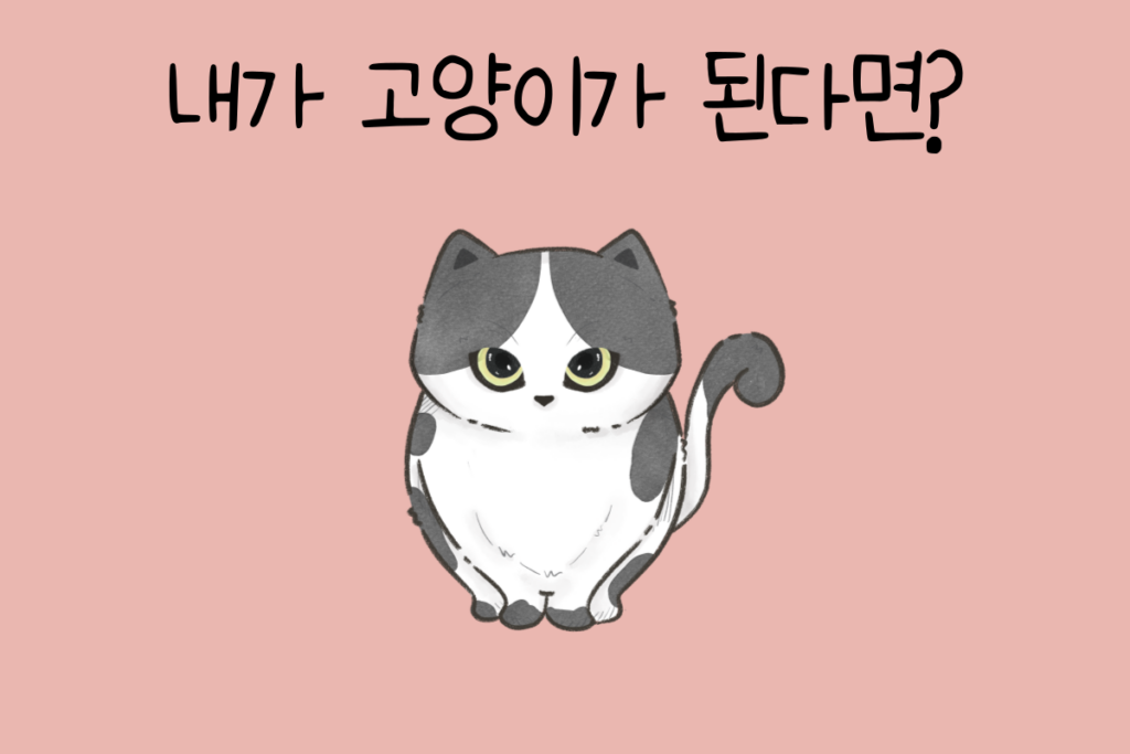 토끼 이미지