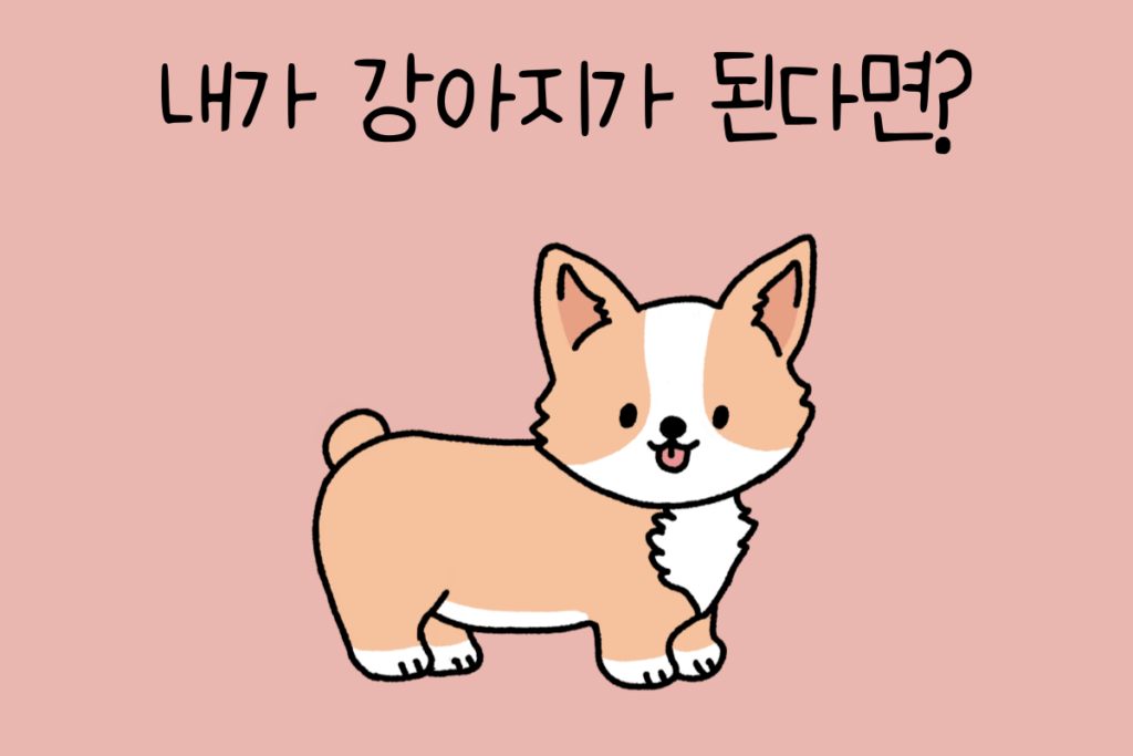 토끼 이미지