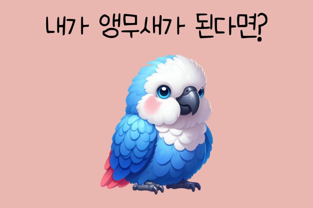 토끼 이미지