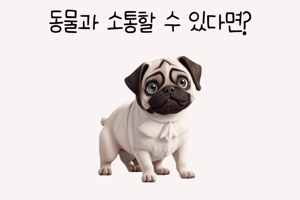 토끼 이미지