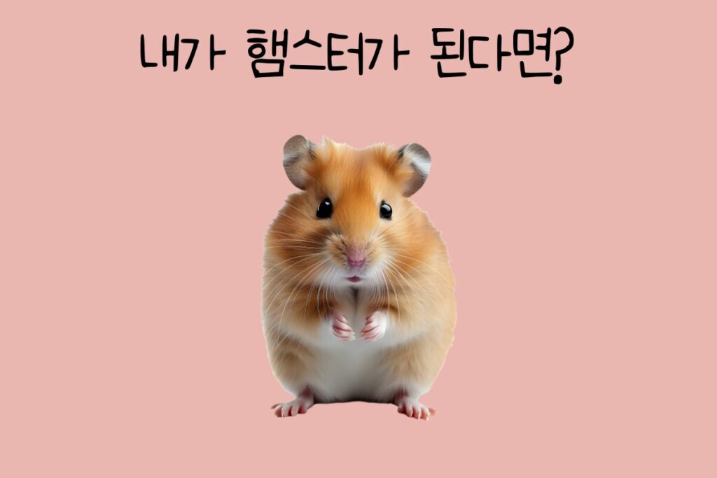 토끼 이미지