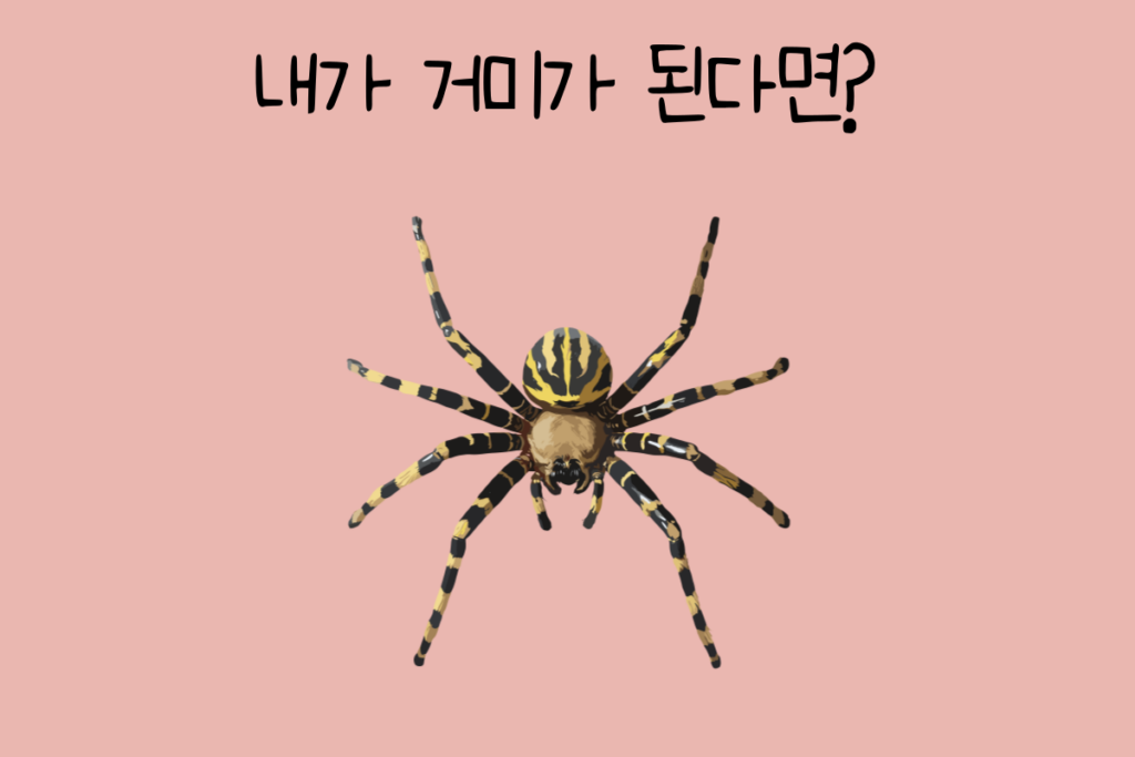 토끼 이미지
