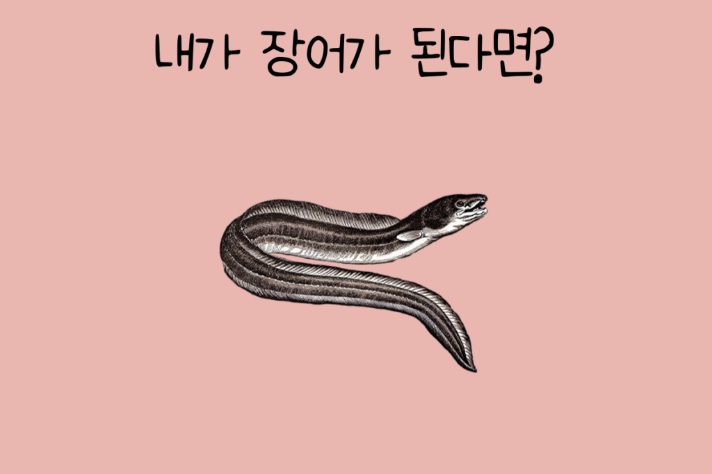 토끼 이미지