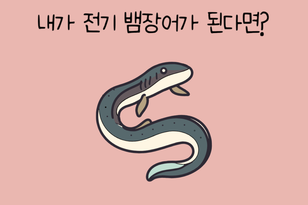 토끼 이미지