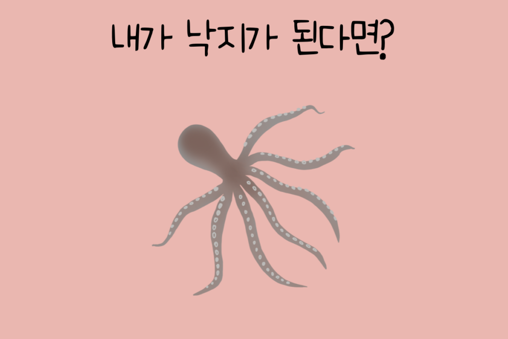 토끼 이미지