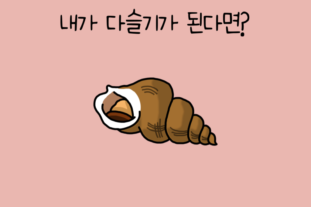 토끼 이미지
