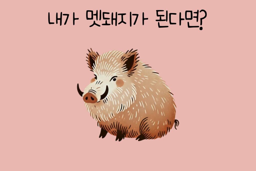 토끼 이미지