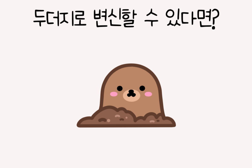 토끼 이미지
