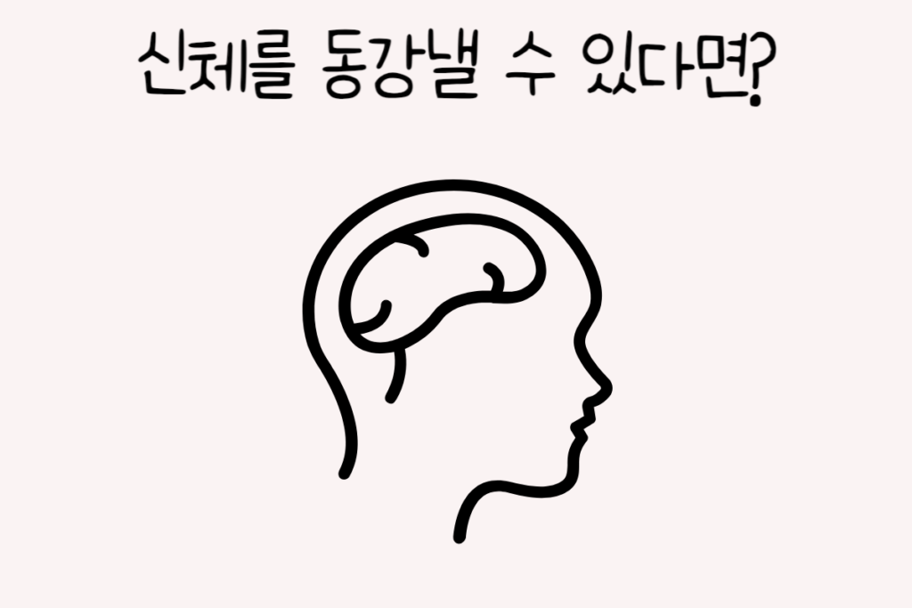 토끼 이미지