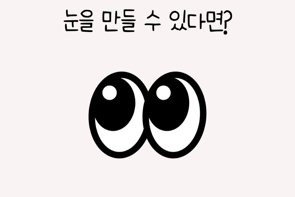 토끼 이미지